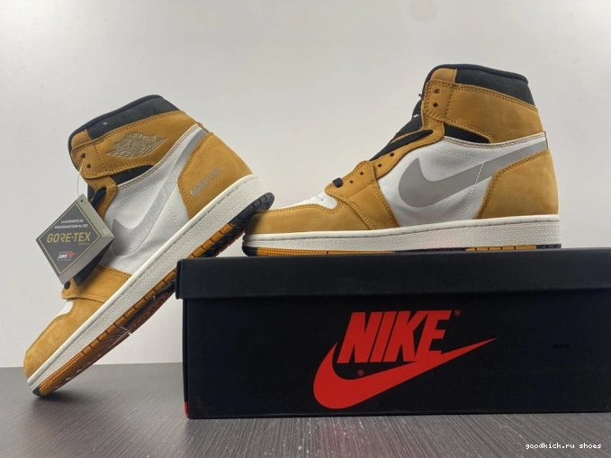 High Gore-Tex Light 1 Jordan Element Curry DB2889-700 0629